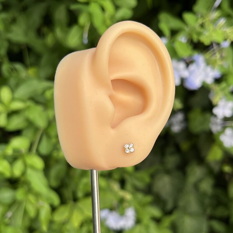 Boucles Anir